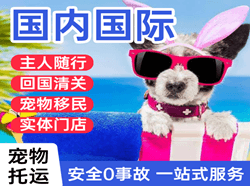 三明沙县国际宠物托运 【国